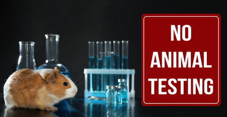 STOP ANIMAL TESTING. Guinea pig and laboratory glassware on tableの写真素材