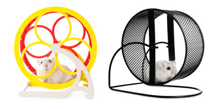 Cute funny hamsters running in wheels on white background, collage. banner designの写真素材