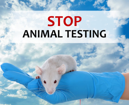 STOP ANIMAL TESTING. Scientist holding rat against blue sky, closeupの写真素材