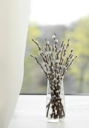 Beautiful pussy willow branches in glass vase on window sill indoorsの写真素材