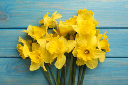 Beautiful daffodil bouquet on blue wooden table, top viewの写真素材