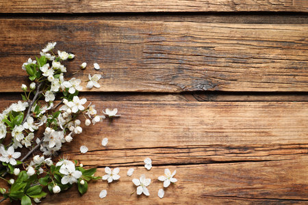 Blossoming spring tree branches as border on wooden background, flat lay. Space for textの写真素材