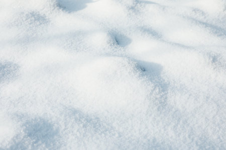 Beautiful snow as background, close up view. Winter weatherの写真素材