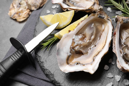 Delicious fresh oysters with lemon slices served on gray table, closeupの写真素材