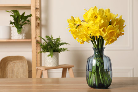 Beautiful daffodils in vase on wooden table indoors, space for textの写真素材