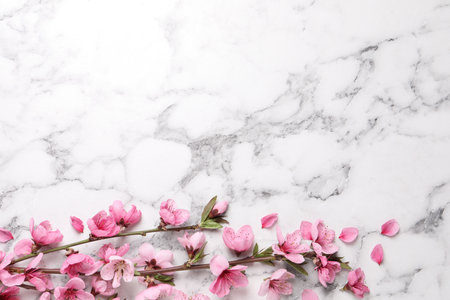 Beautiful sakura tree blossoms on white marble background, flat lay. Space for textの写真素材