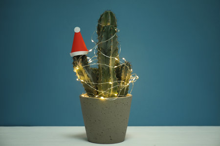 Cactus decorated with glowing fairy lights and santa hat on white table against blue backgroundの写真素材