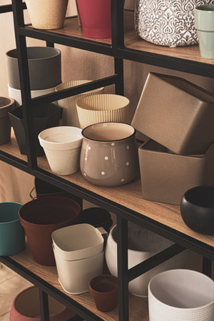 Shelving unit with many different houseplant pots near beige wall indoorsの写真素材