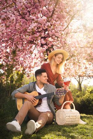 Lovely couple having picnic in park on sunny spring dayの写真素材