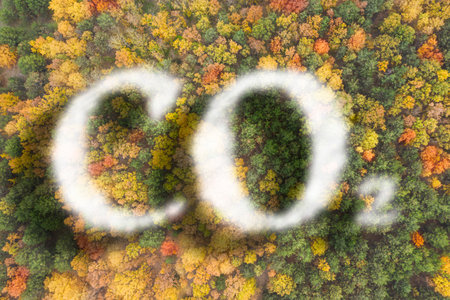 Concept of clear air. CO2 inscription and beautiful forest, top viewの写真素材