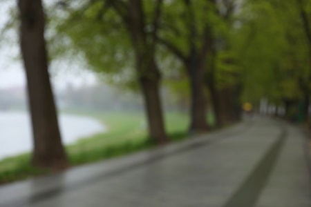 Blurred view of park on gray day. bokeh effectの写真素材