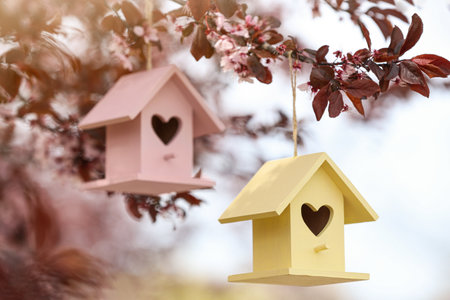 Bird houses with heart shaped holes hanging from tree outdoorsの写真素材