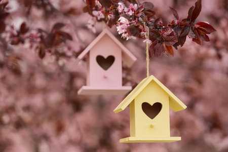 Bird houses with heart shaped holes hanging from tree outdoorsの写真素材