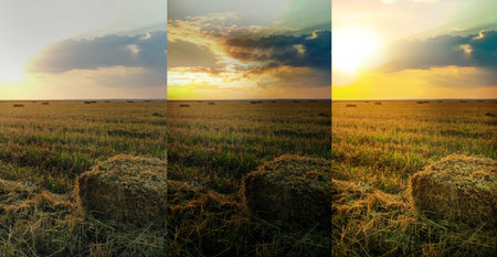Photos before and after retouch, collage. Hay block on moved fieldの写真素材