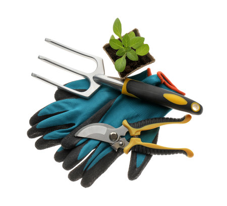 Different gardening tools on white background, top viewの写真素材