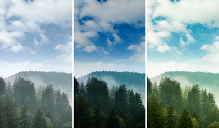 Photos before and after retouch, collage. Picturesque view of mountain forest in foggy morningの写真素材