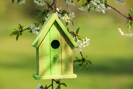 Green wooden bird house hanging from tree branch outdoorsの写真素材