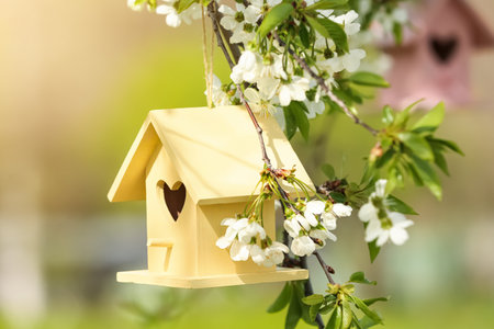 Bird houses hanging outdoors, focus on yellow oneの写真素材