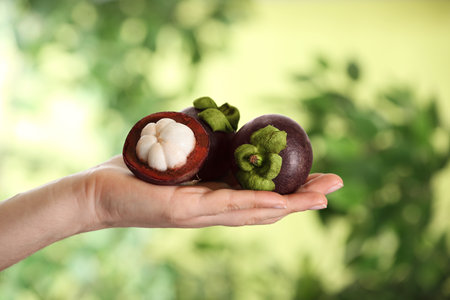 Woman holding delicious ripe mangosteen fruits outdoors, closeupの写真素材