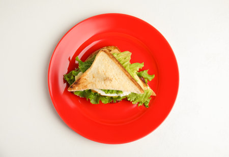 Delicious sandwich with vegetables and egg on white table, top viewの写真素材