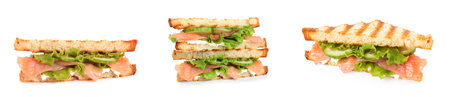 Set with different delicious sandwiches on white background. banner designの写真素材
