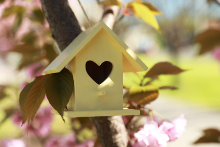 Yellow bird house with heart shaped hole hanging on tree branch outdoorsの写真素材