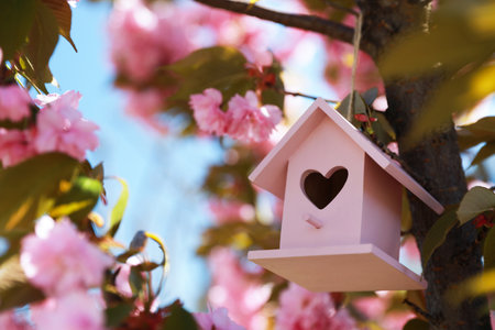Pink bird house with heart shaped hole hanging on tree branch outdoors. Space for textの写真素材