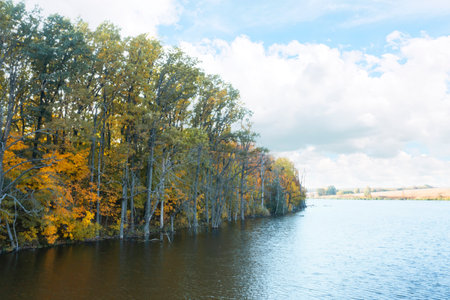 Beautiful view of autumn forest on riverbank
