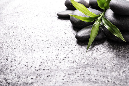 Spa stones and bamboo sprout on gray table, space for textの写真素材