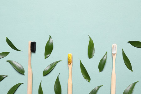 Toothbrushes and fresh leaves on pale turquoise background, flat layの写真素材