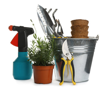 Different modern gardening tools on white backgroundの写真素材