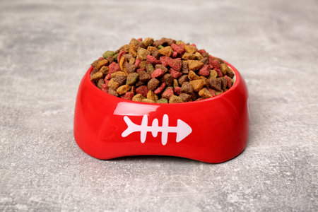 Dry cat food in red pet bowl on gray surfaceの写真素材