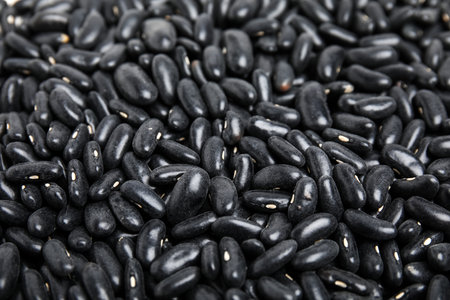 Heap of black beans as background, closeup. Veggie seedsの写真素材