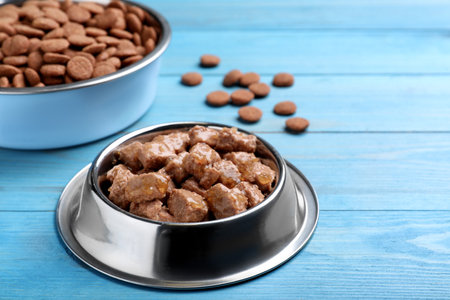 Wet and dry pet food on light blue wooden table, space for textの写真素材