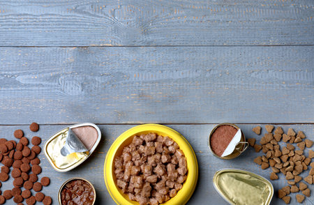 Wet and dry pet food on blue wooden table, flat lay. Space for textの写真素材
