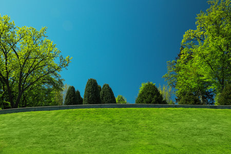 Beautiful view of landscape with fresh green grass and trees outdoorsの写真素材