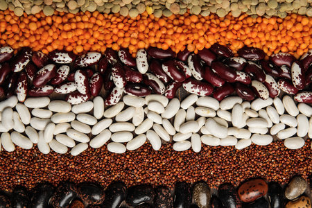 Different grains and seeds as background, top view. Veggie dietの写真素材