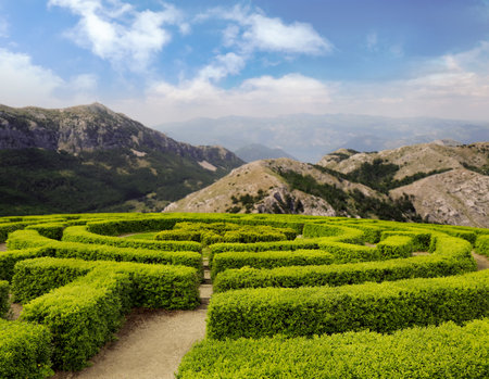 Beautiful view of green hedge maze and mountain landscape on sunny dayの写真素材