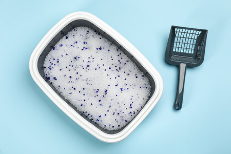 Cat litter tray with filler and scoop on light blue background, flat layの写真素材