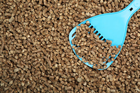 Wood pellet cat litter with plastic scoop, top viewの写真素材