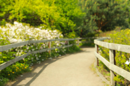 Blurred view of beautiful park on sunny dayの写真素材