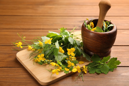 Celandine with board, mortar and pestle on wooden tableの写真素材