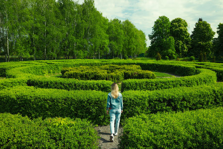 Young woman in hedge maze on sunny day, back viewの写真素材