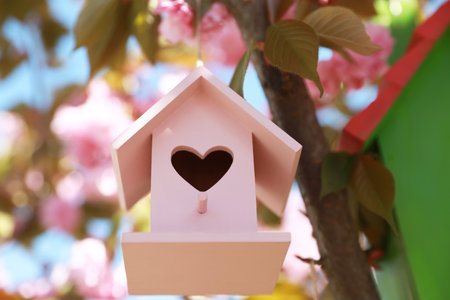 Pink bird house with heart shaped hole hanging on tree branch outdoors, low angle viewの写真素材