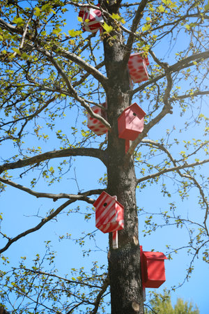 Red and white bird houses on tree outdoorsの写真素材
