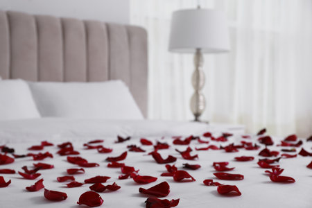 Beautiful red rose petals on bed in roomの写真素材