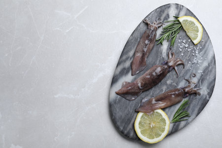Fresh raw squids with lemon, rosemary and salt on light gray marble table, top view. Space for text