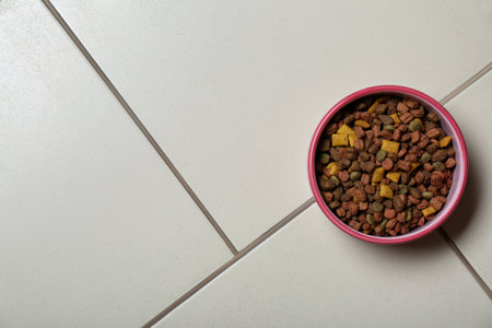 Pet bowl with dry food on floor, top view. Space for textの写真素材