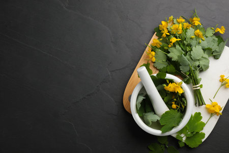 Celandine with mortar and pestle on black table, top view. Space for textの写真素材