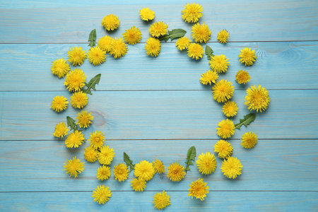 Frame of beautiful yellow dandelions on light blue wooden table, flat lay. Space for textの写真素材